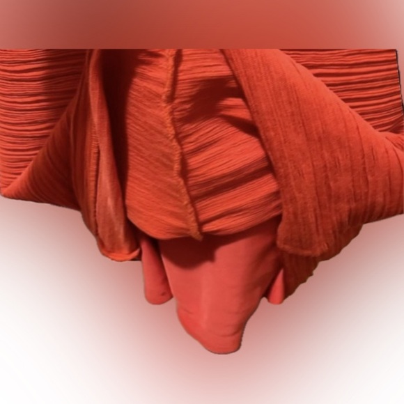 ❤️NUE by Shani Form Fitted dress Color is called Poppy  size 10 NWT - Picture 9 of 12